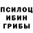 Псилоцибиновые грибы прущие грибы Zach Dugan