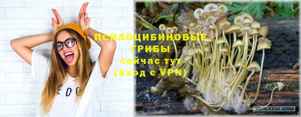 2c-b Алзамай