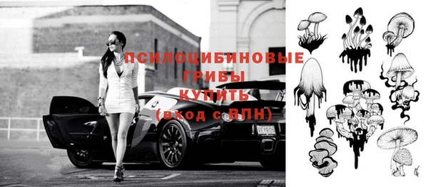 прущие грибы Алексеевка