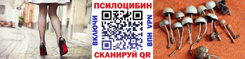 Купить закладки  Сольцы  Галлюциногенные грибы ЛСД 